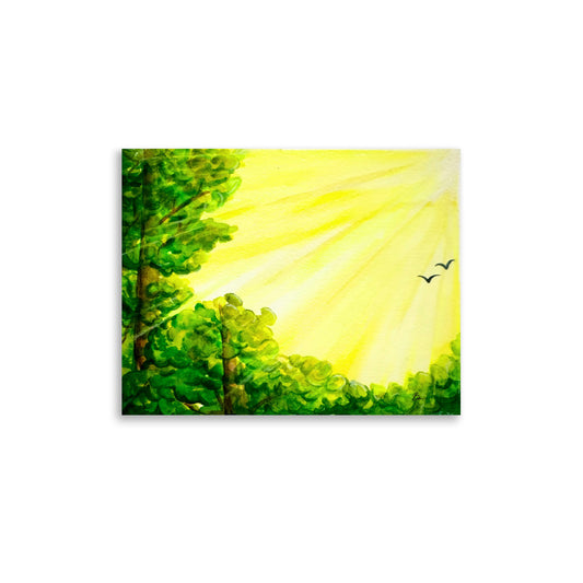 Sunshine Awakening - Matte Print